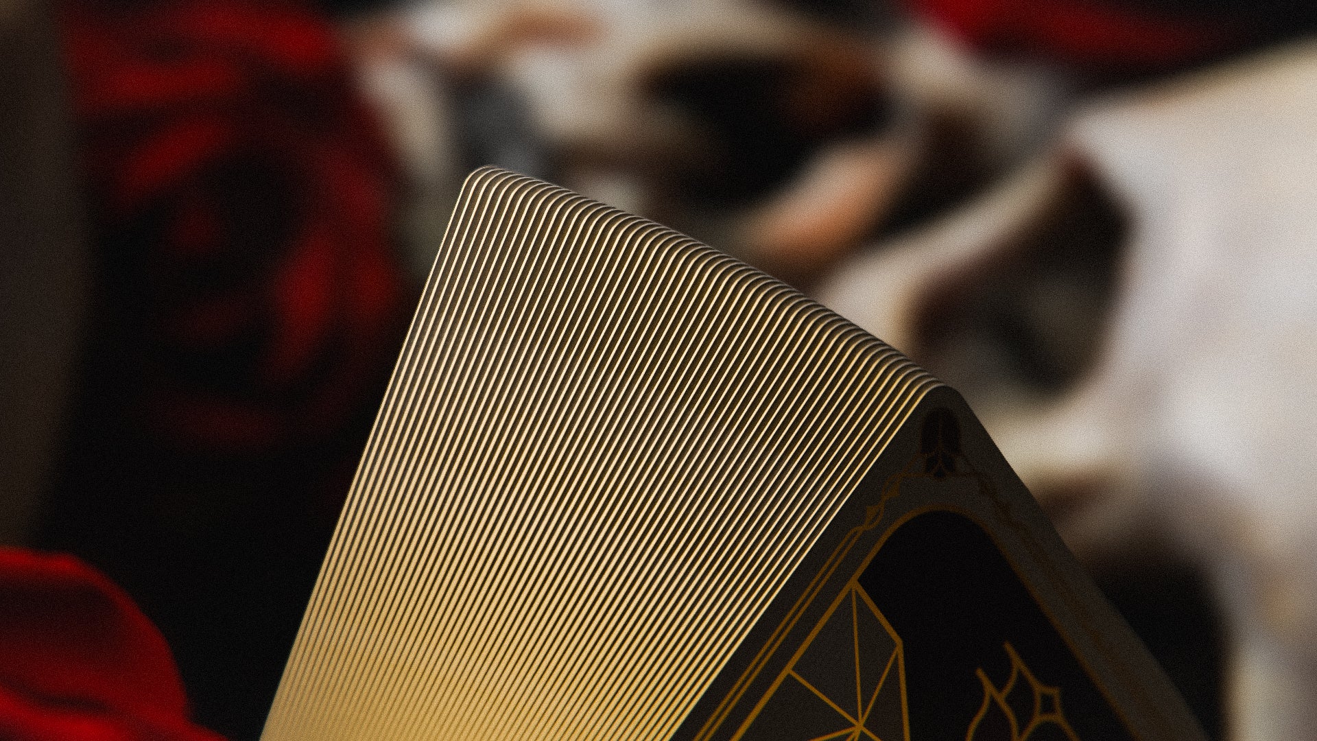 Exclusive Gilded Limited Edition (Only 100 in circulation worldwide)